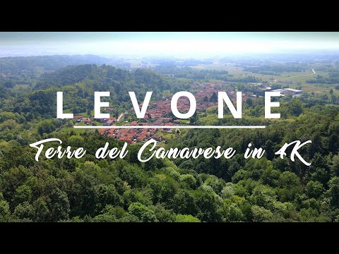 Scopri un Sinonimo Sorprendente che Riporta il Significato!