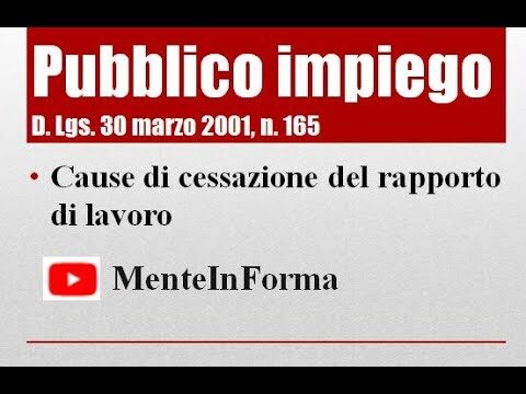 DPR 171 del 2011: Una guida ottimizzata e concisa